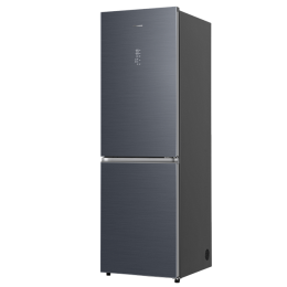 Холодильник Hisense RB5P405NAQ1