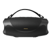 Акустическая система Hisense flexboom