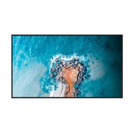 Дисплей Digital Signage Hisense 50DM66E
