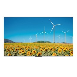 Дисплей Digital Signage Hisense 50DP30FE