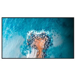 Дисплей Digital Signage Hisense 55DM66D