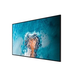 Дисплей Digital Signage Hisense 55DM66D