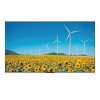 Дисплей Digital Signage Hisense 55DP30FE